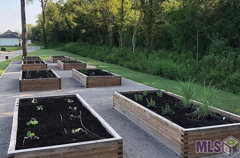 2836 Pointe-Marie Drive Baton Rouge, LA 70820 - Photo 4 of 12 Community Garden