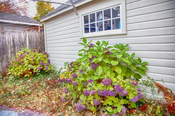 4 Bradford Road Lynn, MA 01904 - Photo 12 of 12 Gallery Image 12