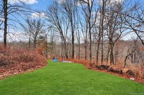 a view of backyard with large trees