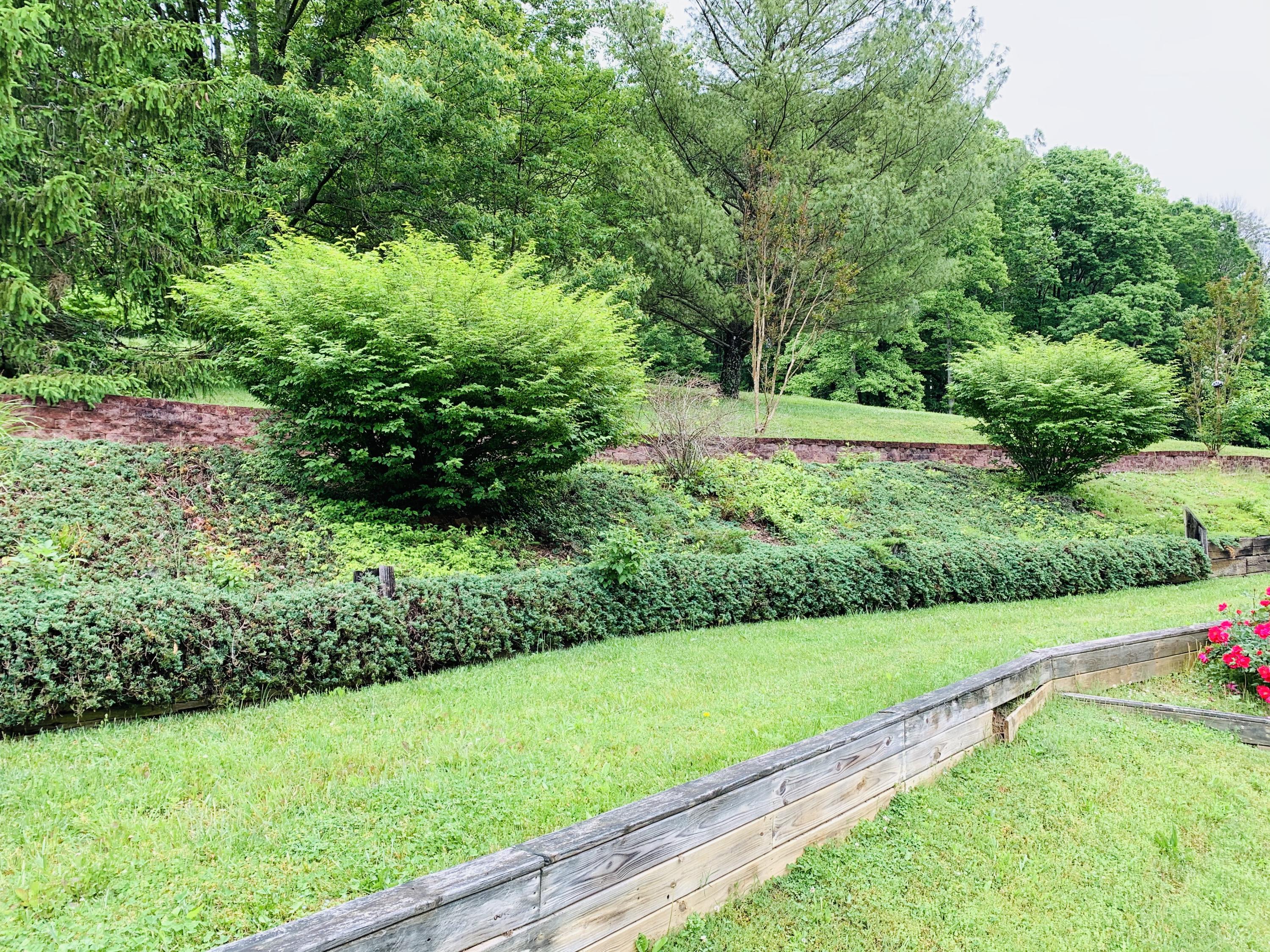 363 Ball Orchard Road Kingsport, TN 37660 - Photo 37 of 43 6D65BCEE-FF51-424F-9CD7-C2564C281EBF