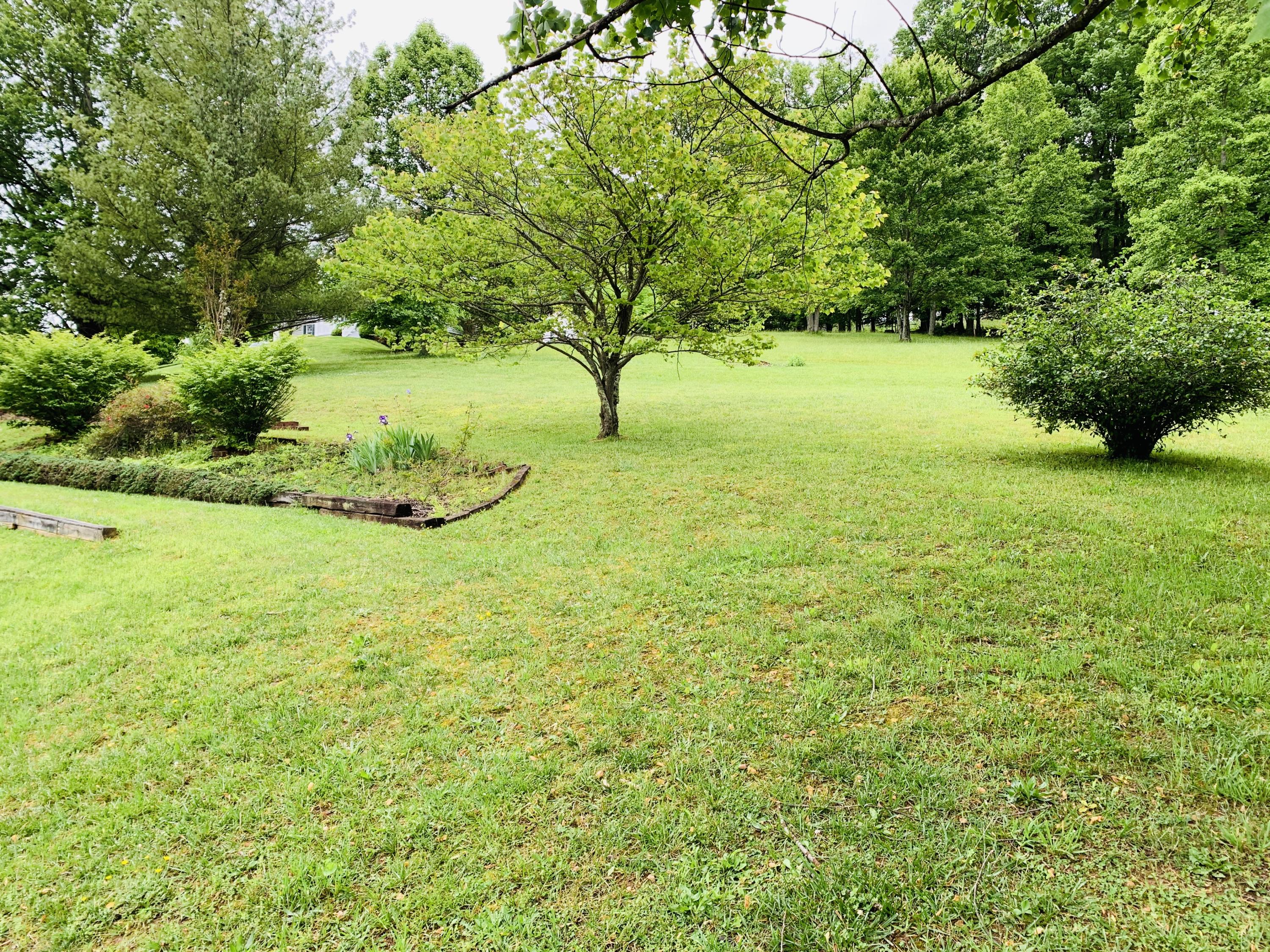 363 Ball Orchard Road Kingsport, TN 37660 - Photo 40 of 43 0AA04B43-C476-4C0C-809C-B22D2E822270
