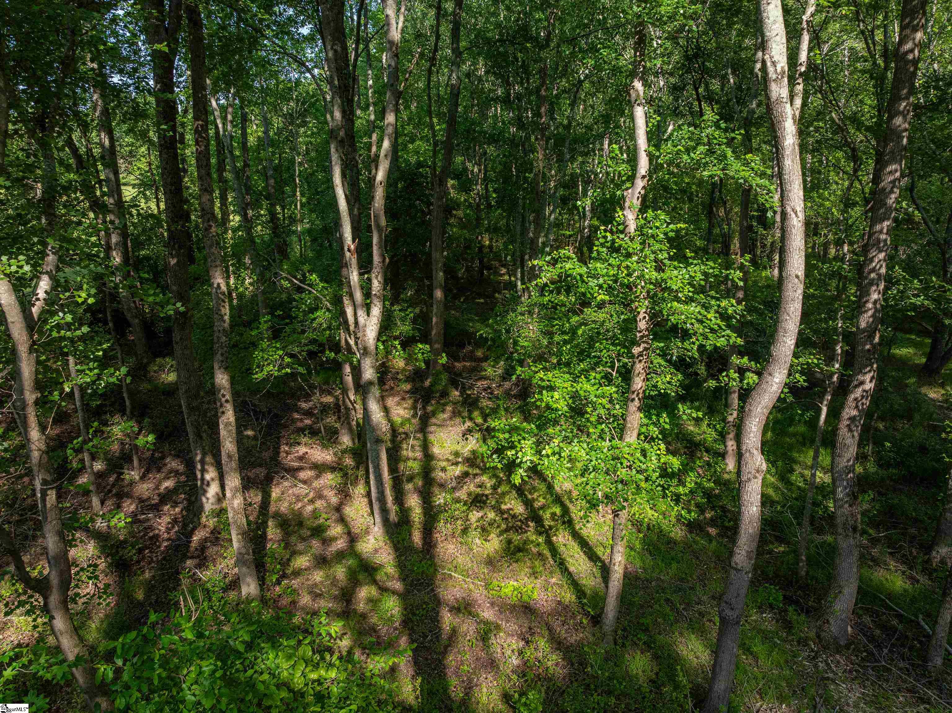 11 Holliday Dam Road Honea Path, SC 29654 - Photo 30 of 38