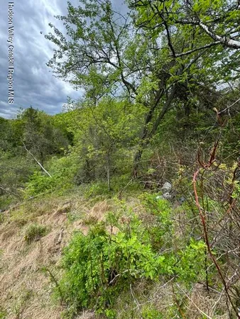 $109,000 | 670 Vedder Mountain Road, Catskill, NY 12414