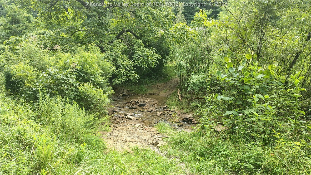 1341 Mulberry Fork Road Robson, WV 25173 - Photo 14 of 18 Gallery Image 14