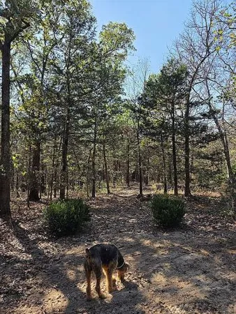 $335,000 | 18 Werifesteria Court, Brumley, MO 65017