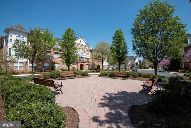 a view of a park with a tree