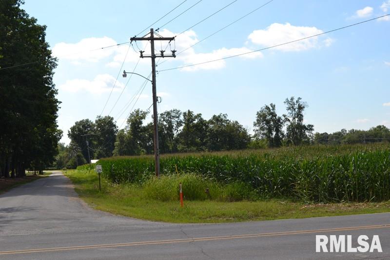 1 Route 37 & Oak Street Ina, IL 62846 - Photo 1 of 3