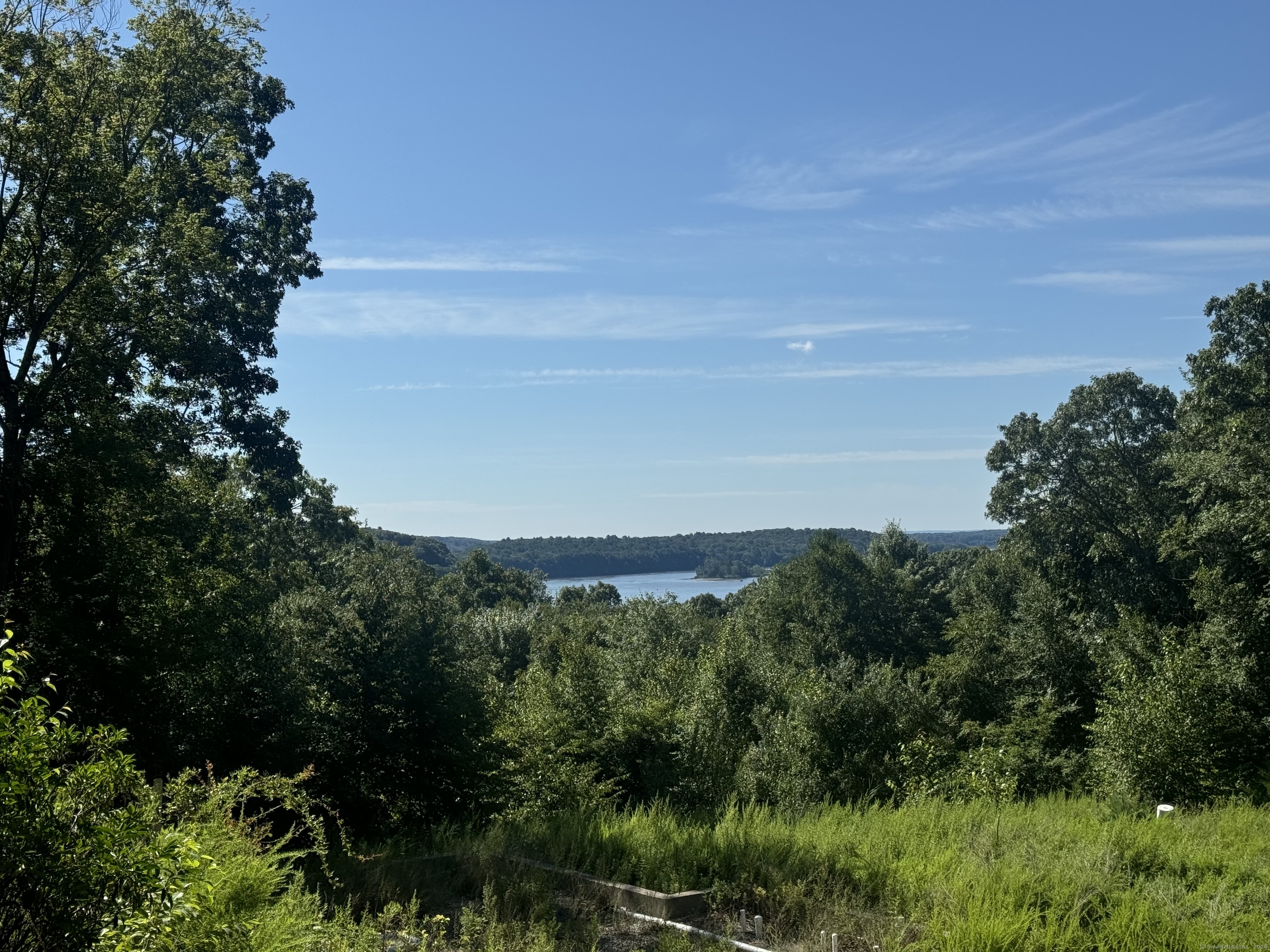 a view of a bunch of trees