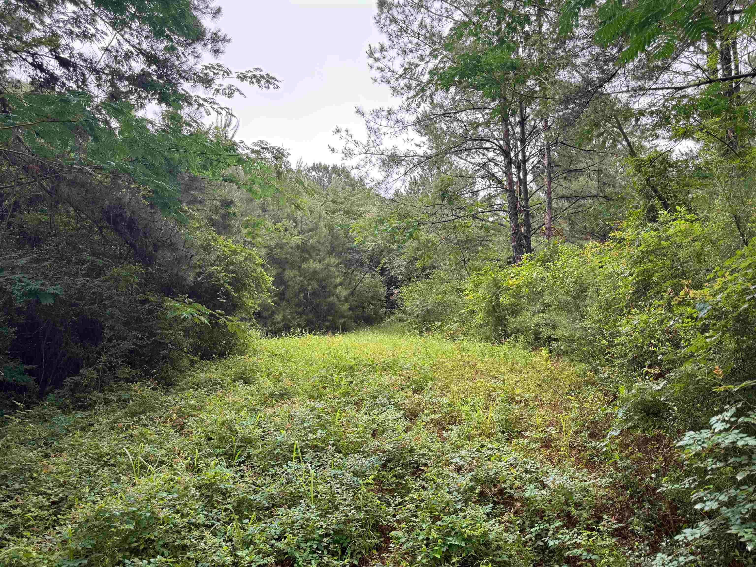 29660 Hammett Road Andalusia, AL 36421 - Photo 1 of 3 Gallery Image 1