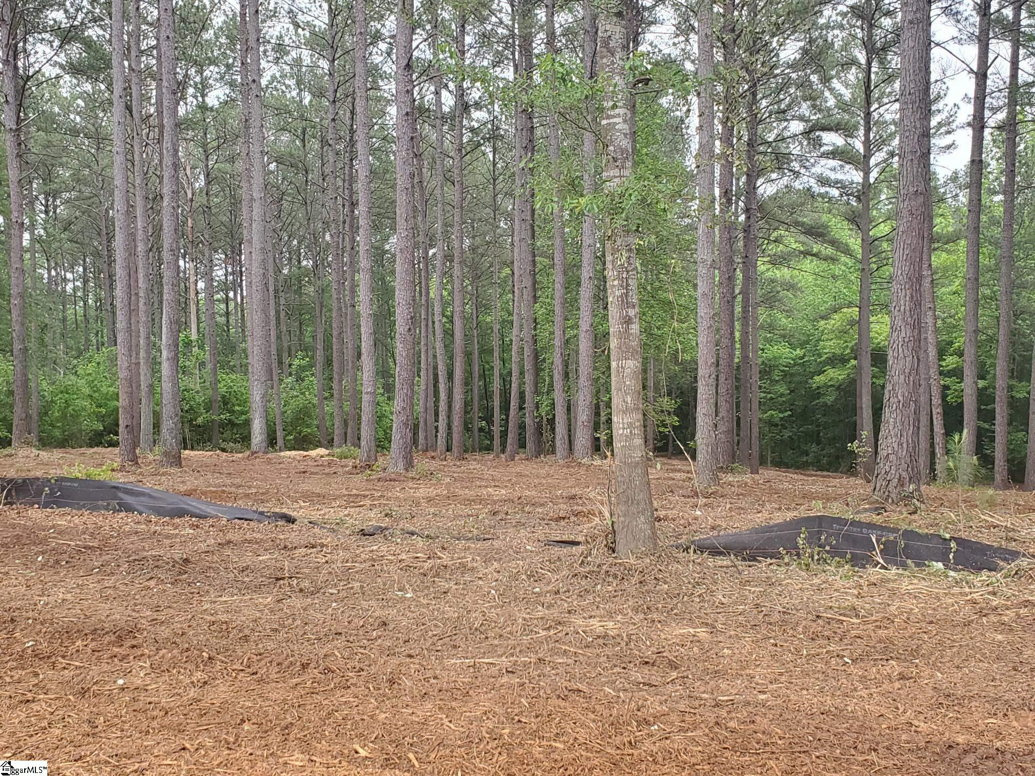 64 Harbor Point Road Seneca, SC 29672 - Photo 2 of 3 Gallery Image 2