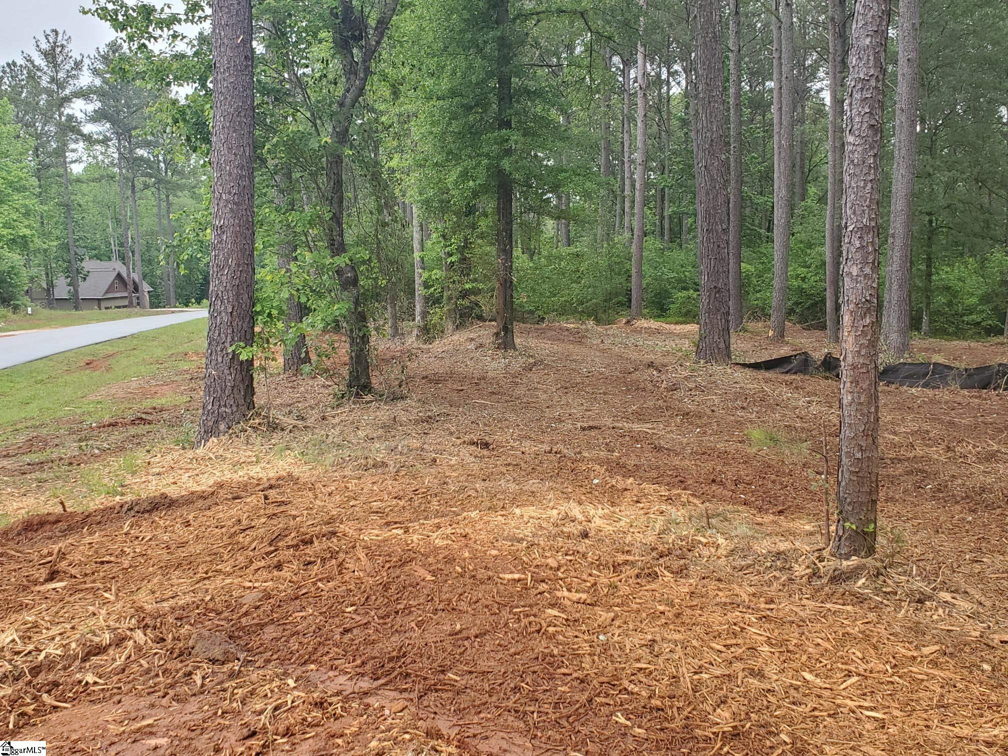 64 Harbor Point Road Seneca, SC 29672 - Photo 3 of 3 Gallery Image 3