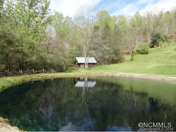 56 Little Tree Lane Waynesville, NC 28785 - Photo 2 of 14