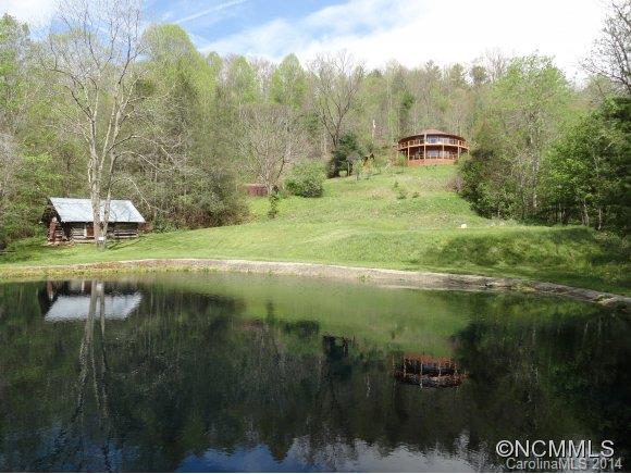 56 Little Tree Lane Waynesville, NC 28785 - Photo 3 of 14