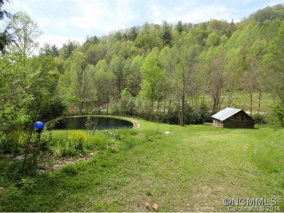 56 Little Tree Lane Waynesville, NC 28785 - Photo 5 of 14