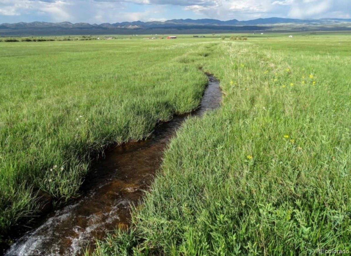 119 County Road Westcliffe, CO 81252 - Photo 5 of 8 a view of a large garden with plants and a bench