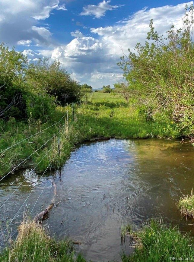 119 County Road Westcliffe, CO 81252 - Photo 6 of 8 a view of a yard with plants and large trees