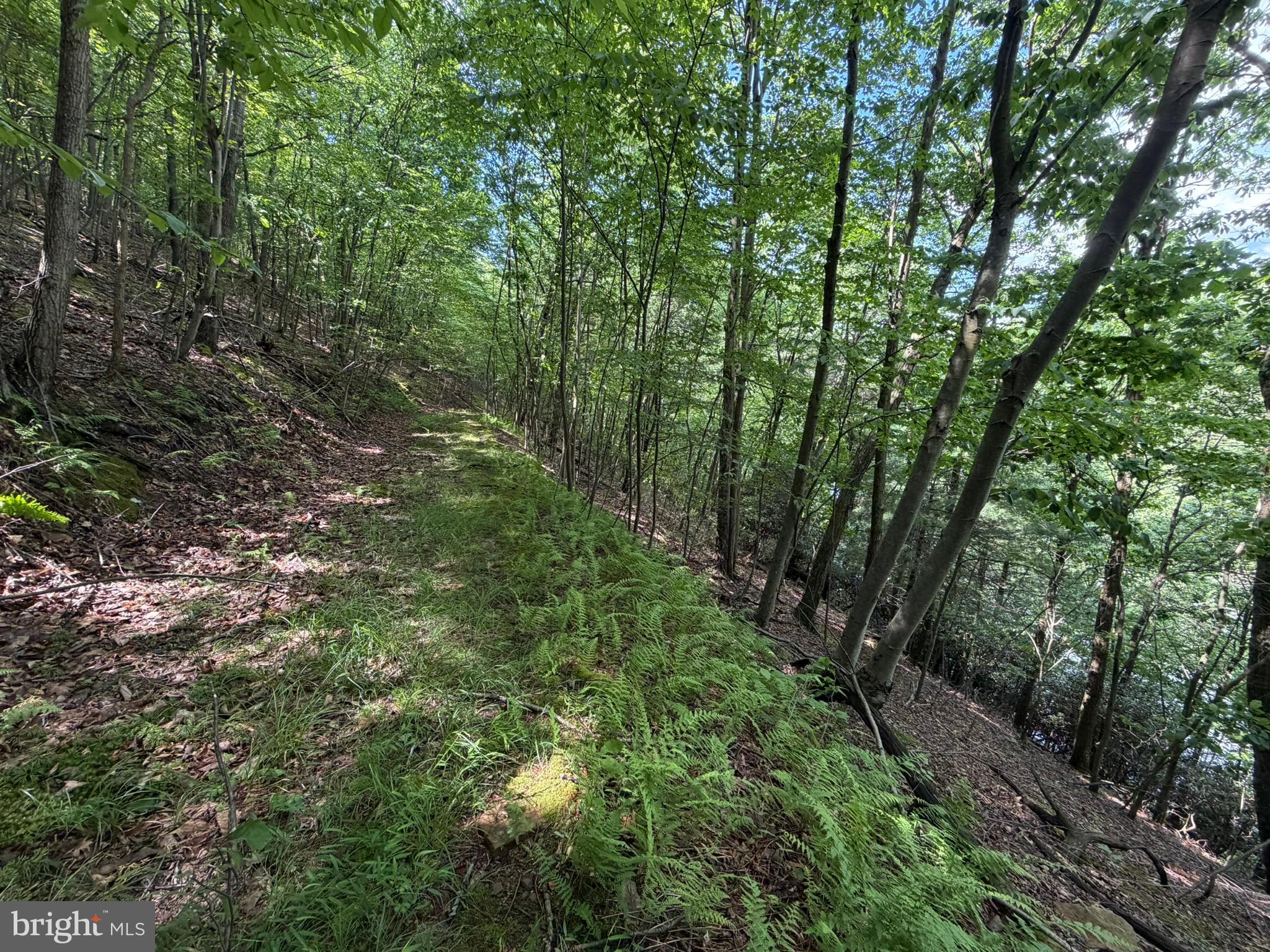 848 Sugar Camp Road Clearfield, PA 16830 - Photo 114 of 118