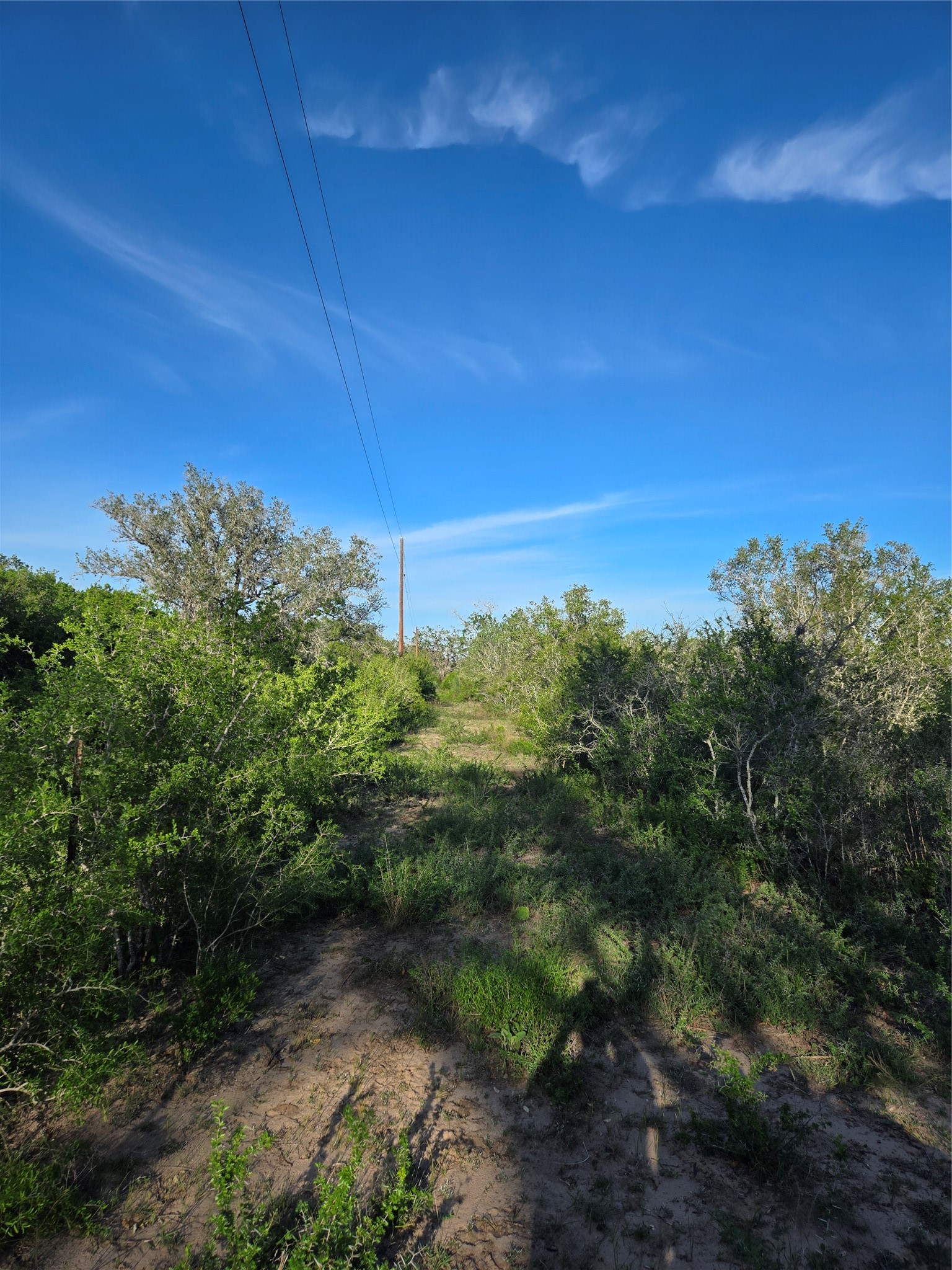 6104 Lucas Road Goliad, TX 77963 - Photo 31 of 32 a view of a large yard with lots of green space