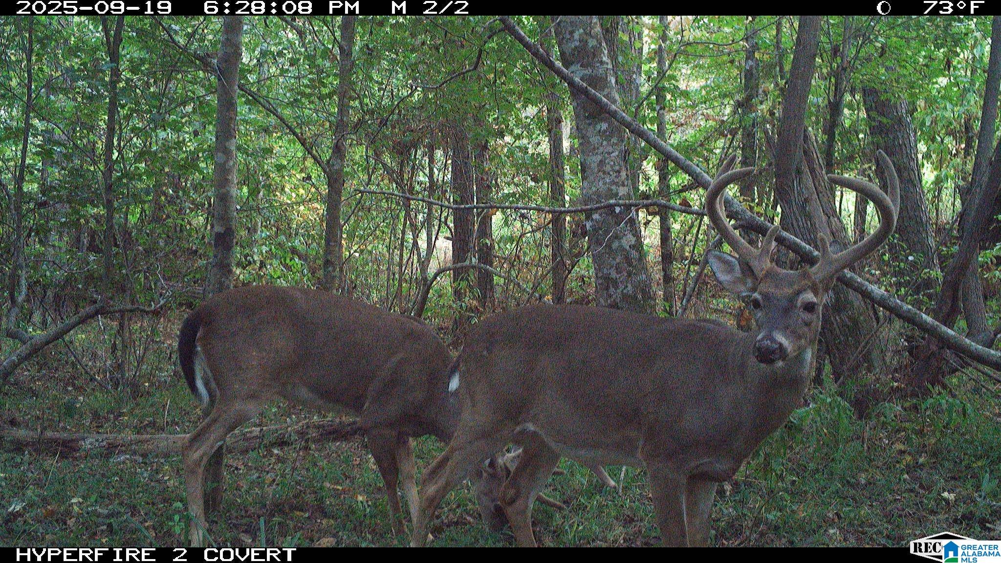 1 Highway 13, Unit 1 Berry, AL 35546 - Photo 9 of 52