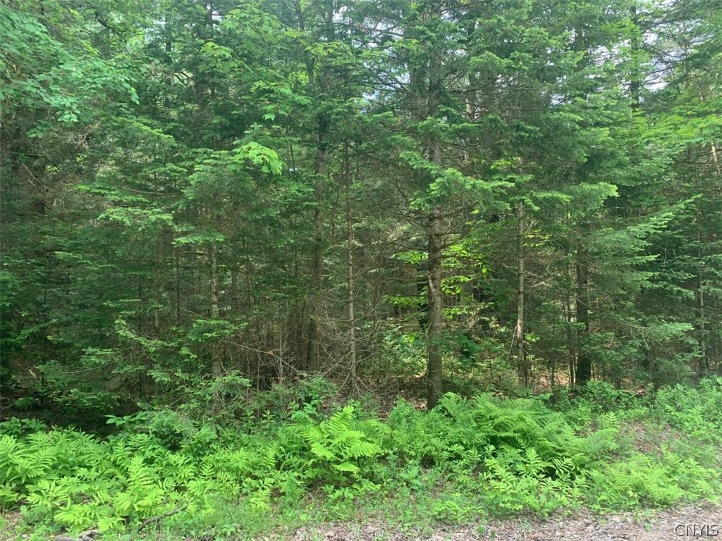 Lot 2 Smith Road Boonville, NY 13309 - Photo 1 of 1 Gallery Image 1
