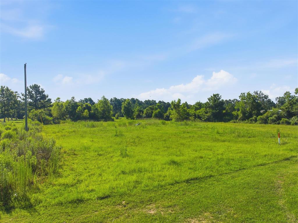 1414 Jackson-Gimnick Loop Ragley, LA 70657 - Photo 2 of 7