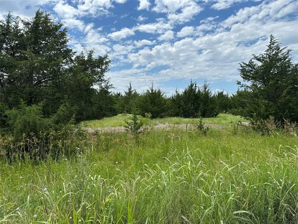 a view of an outdoor space and a yard