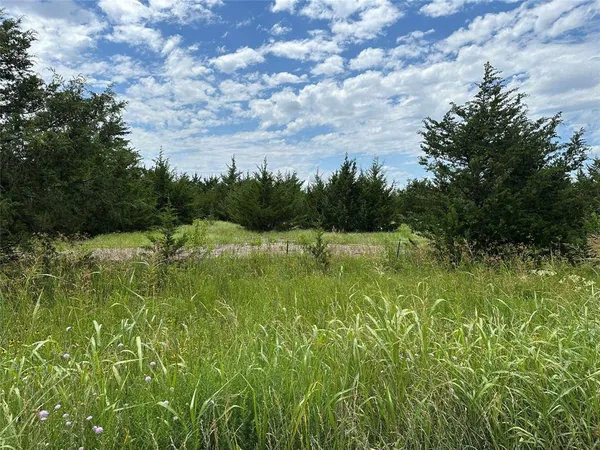 a view of a field of grass and a trees
