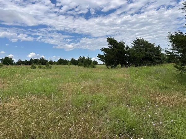 a view of a yard with an trees and plants
