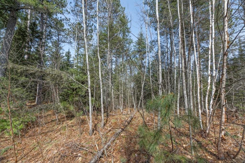 Off Natural Springs Road Presque Isle, WI 54557 - Photo 15 of 27 Gallery Image 15