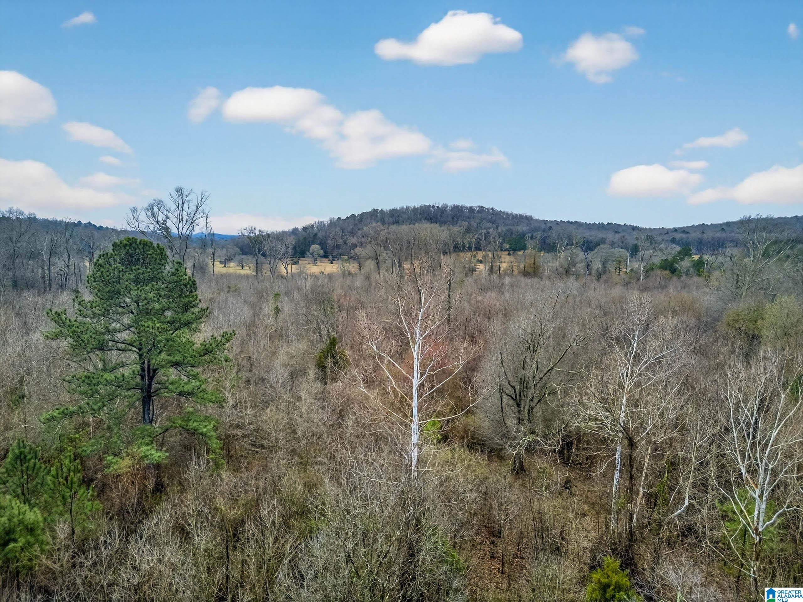 0 Turner Mill Road East Munford, AL 36268 - Photo 6 of 8