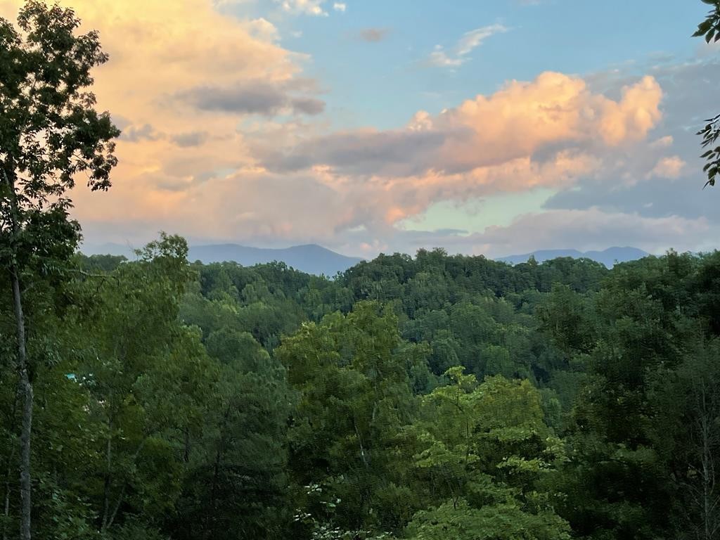 2268 Jared Road Sevierville, TN 37876 - Photo 56 of 56 Gallery Image 56