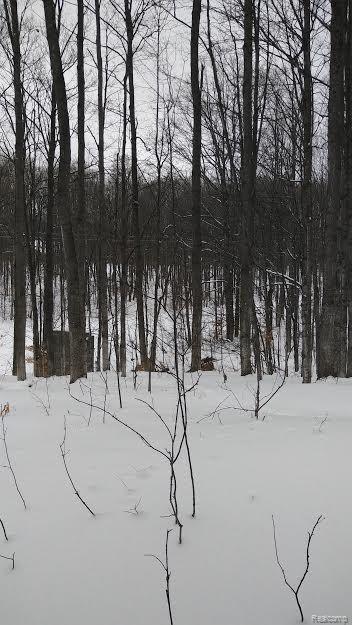 9270 West Cameron Bridge Road Frederic, MI 49733 - Photo 6 of 10 Gallery Image 6