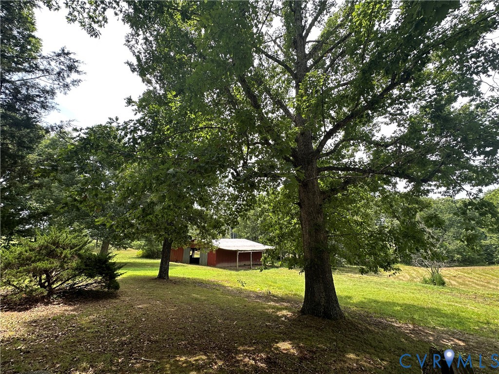 205 Hardtimes Road Farmville, VA 23901 - Photo 10 of 34 Expansive outdoor space featuring mature trees, a