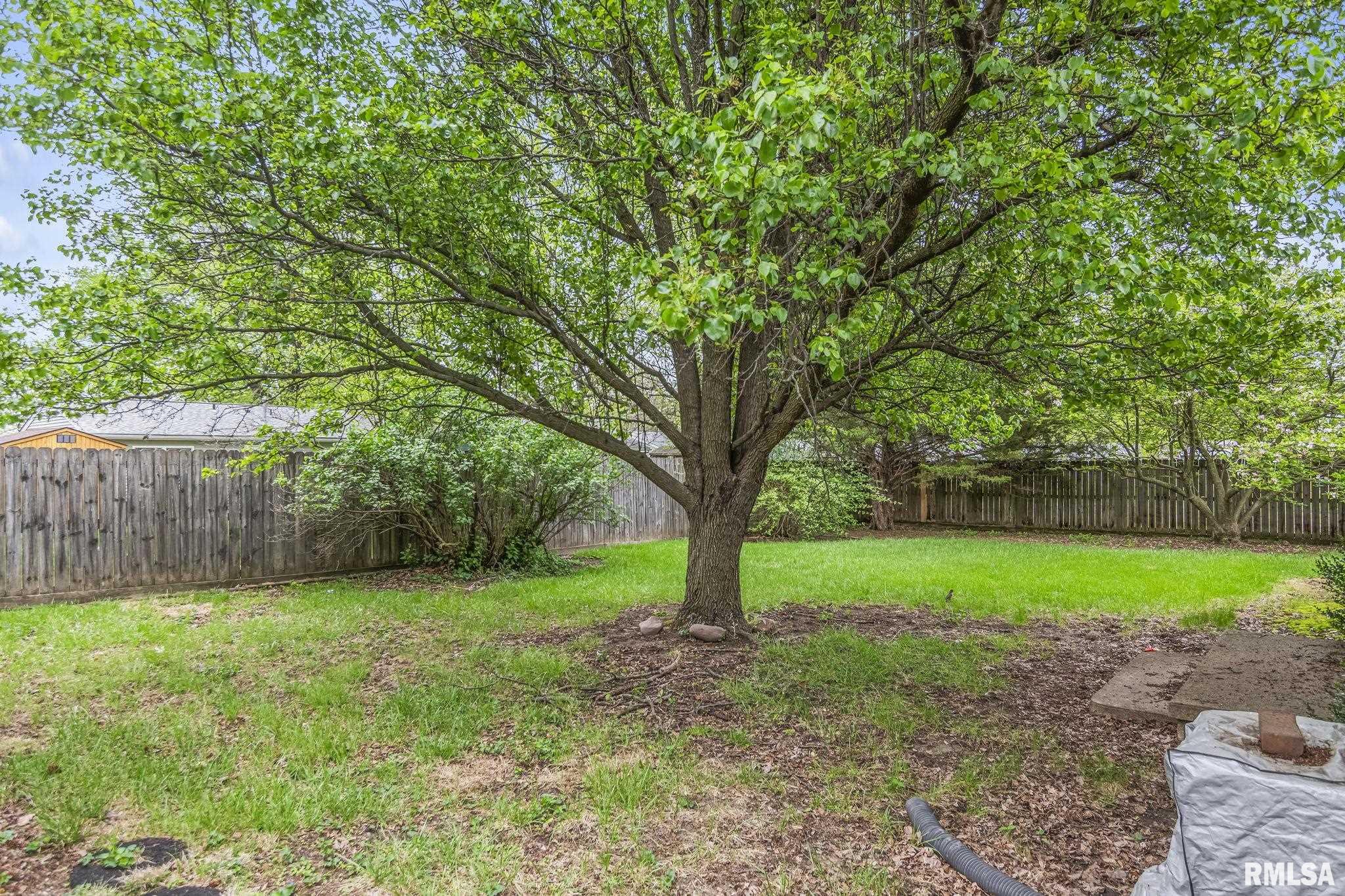 2121 East Ash Street Springfield, IL 62703 - Photo 28 of 30