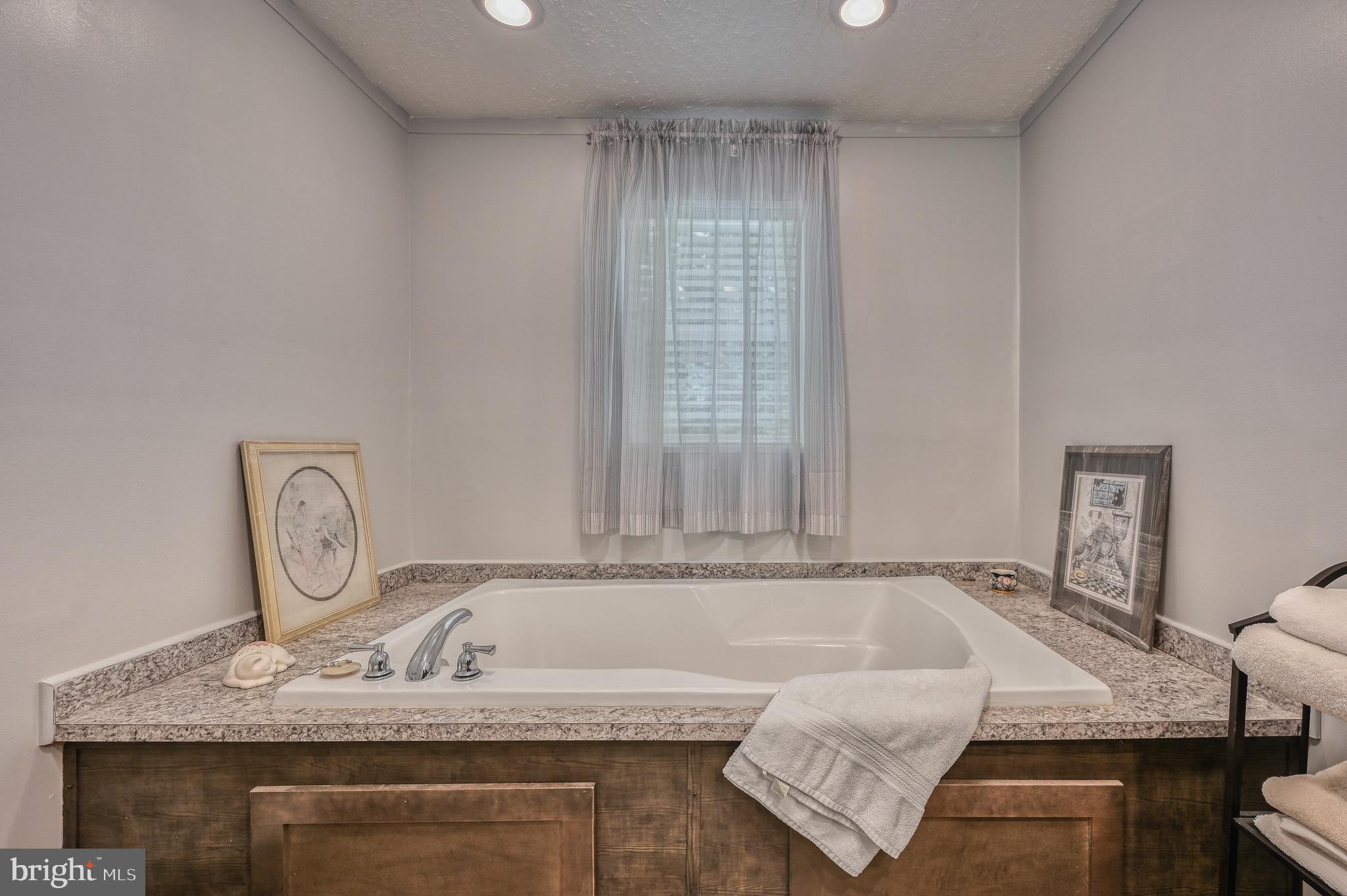 104 Privacy Road Bumpass, VA 23024 - Photo 33 of 81 Large Soaking tub