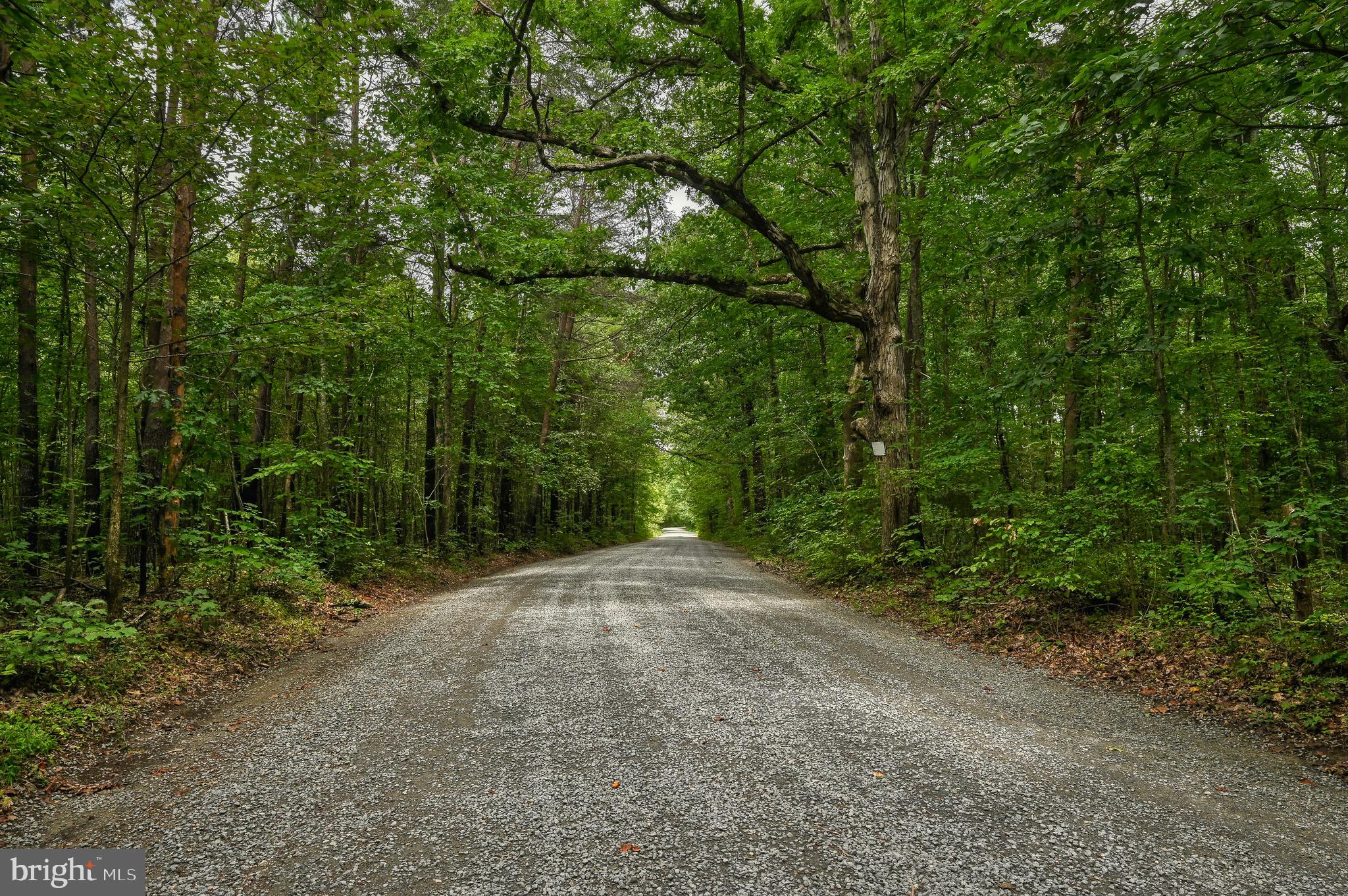 104 Privacy Road Bumpass, VA 23024 - Photo 68 of 81