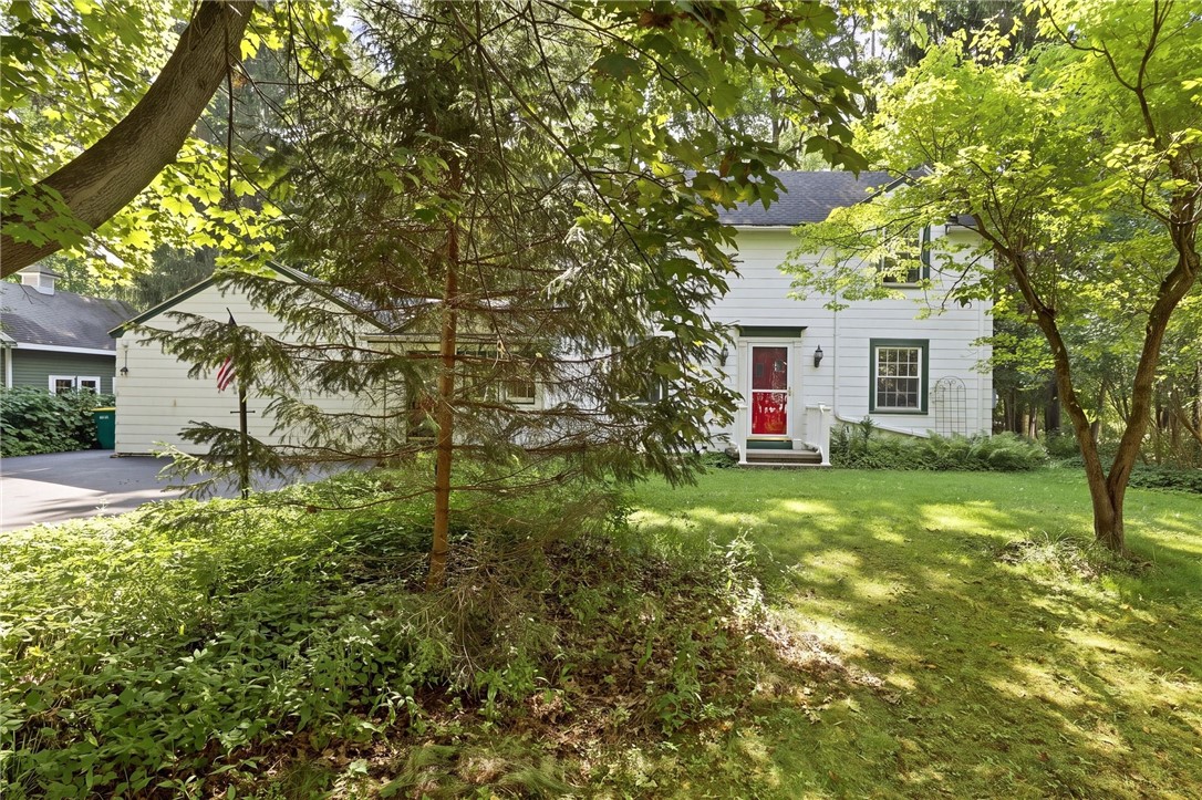 206 Bastian Road Brighton, NY 14623 - Photo 4 of 47 Gallery Image 4