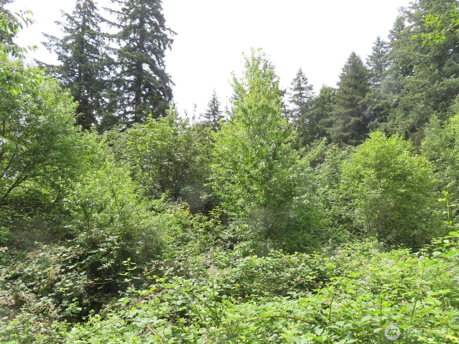 -xxx Coleman Road Mossyrock, WA 98564 - Photo 18 of 20