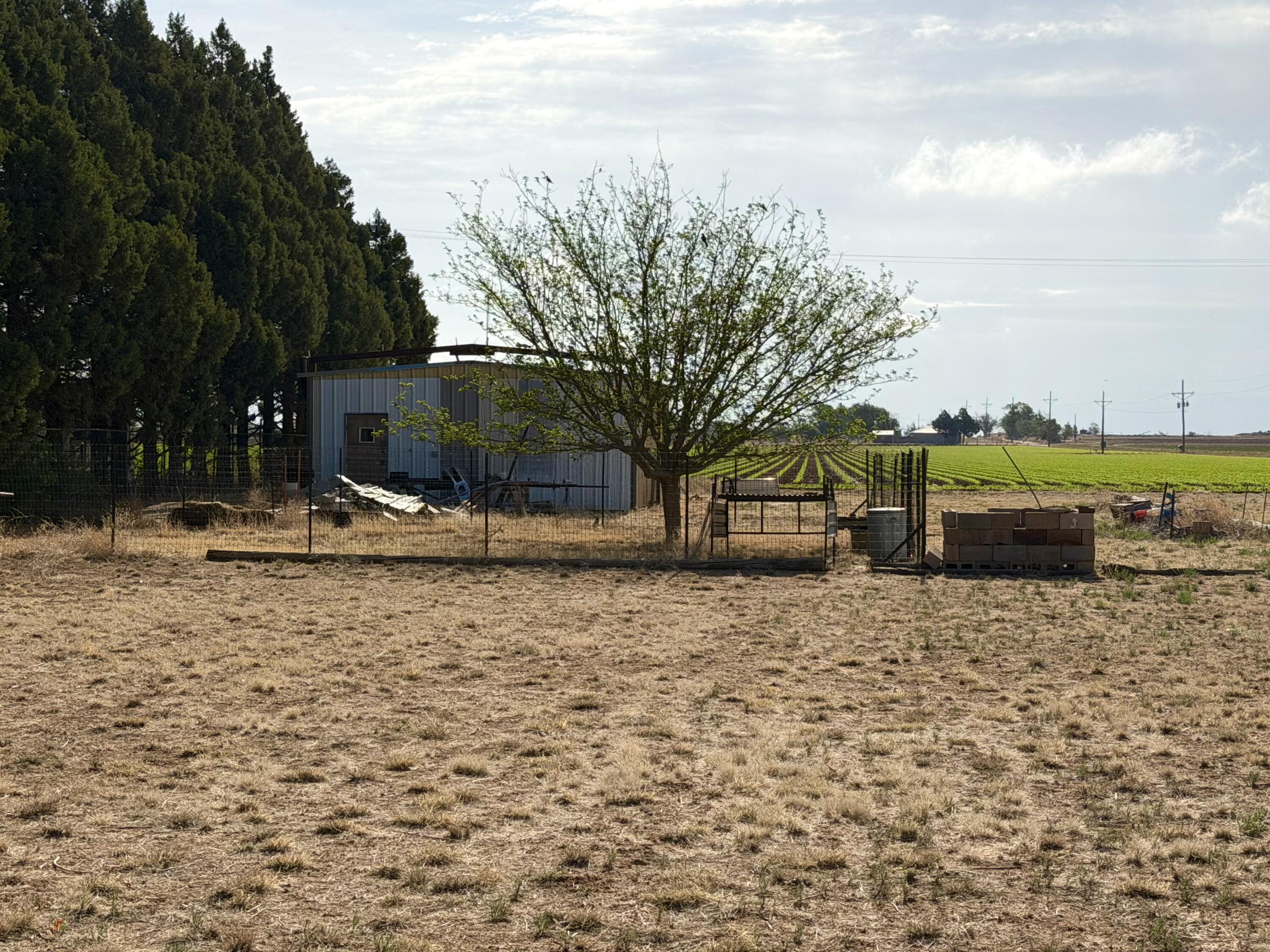10109 C R 3100 Slaton, TX 79364 - Photo 5 of 21 IMG_2865