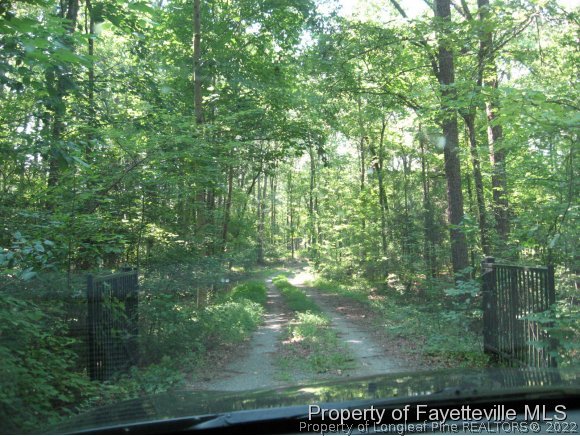 2394 Cotten Road Sanford, NC 27330 - Photo 25 of 25 Gallery Image 25
