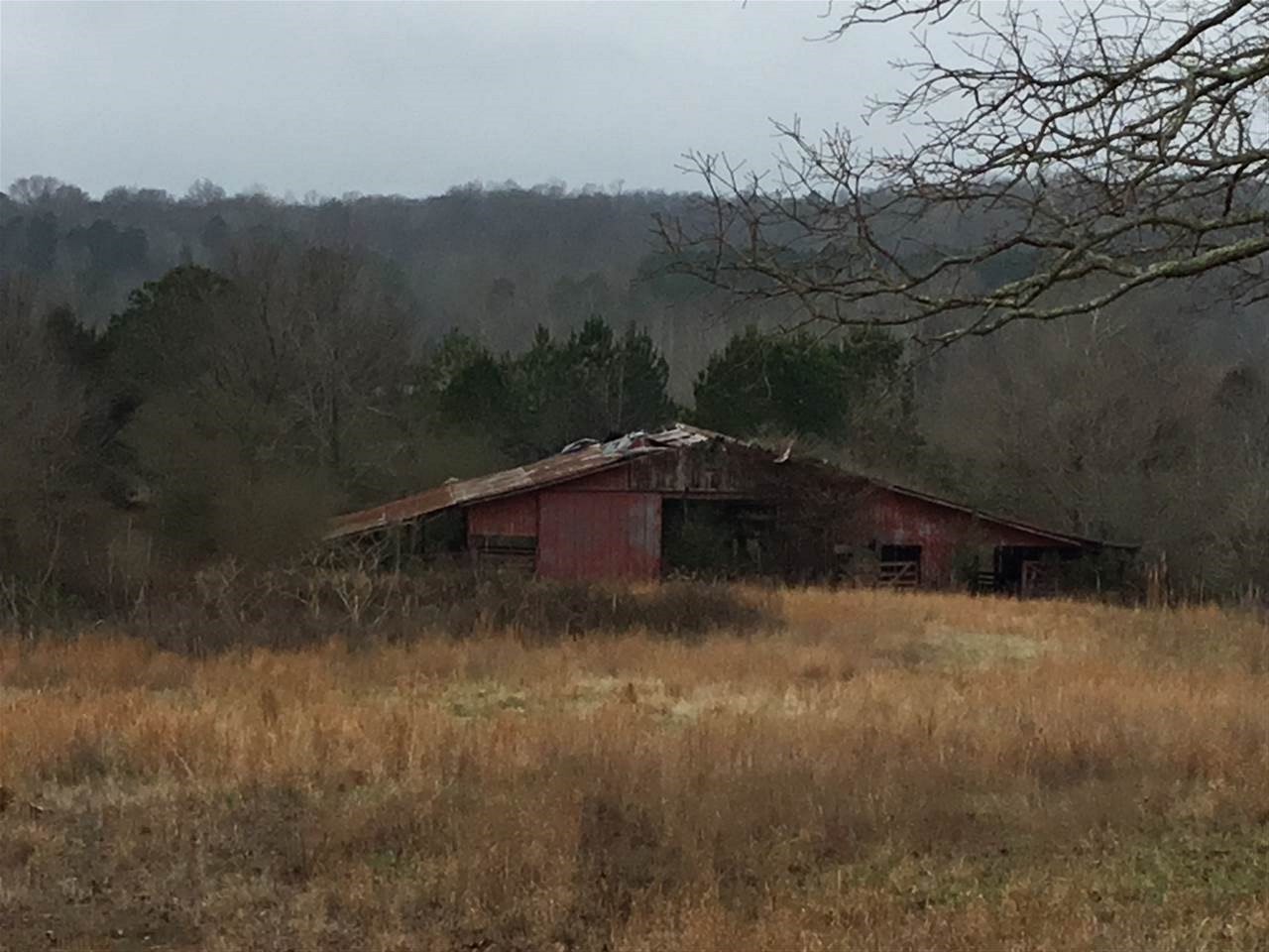 69 Carter Road Sardis, TN 38371 - Photo 4 of 11