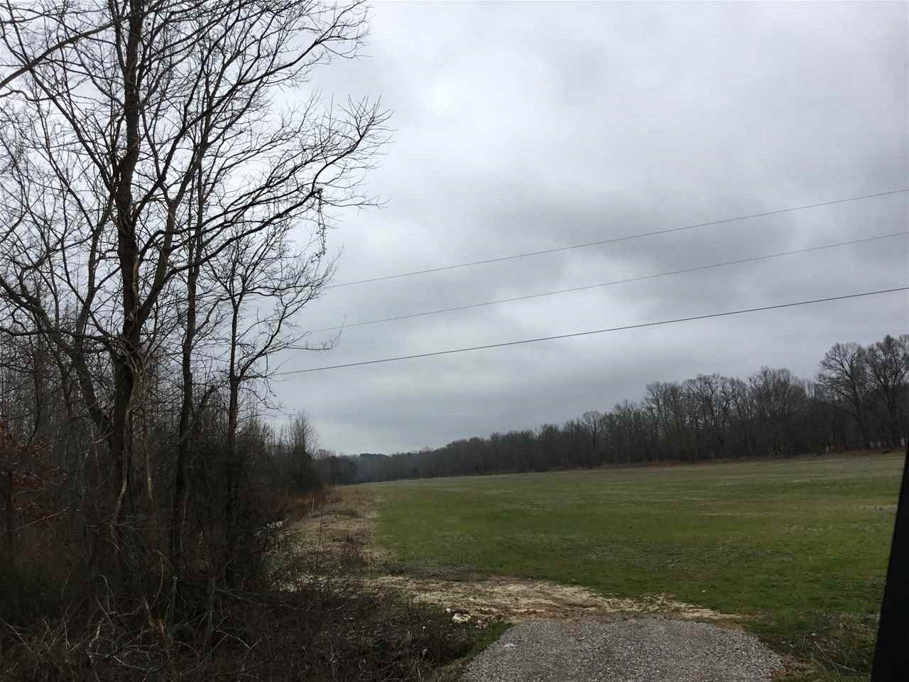 69 Carter Road Sardis, TN 38371 - Photo 6 of 11