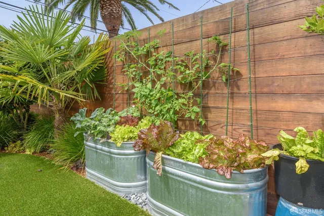 a view of a potted plant sitting in front of a house