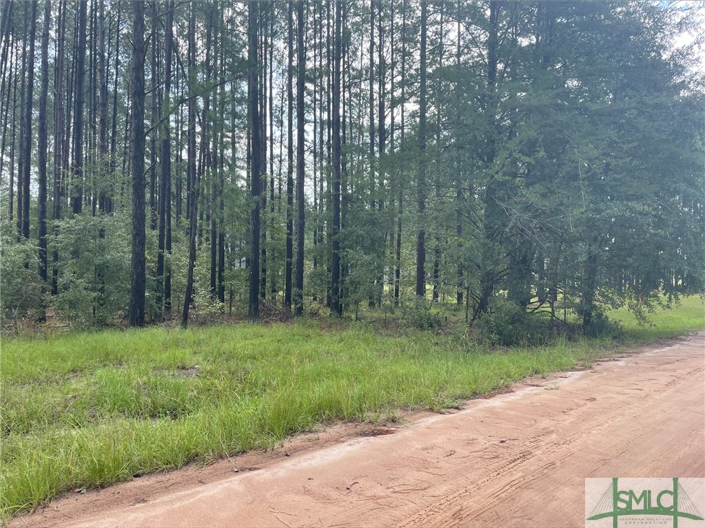 112 Dixie Drive Springfield, GA 31329 - Photo 2 of 4