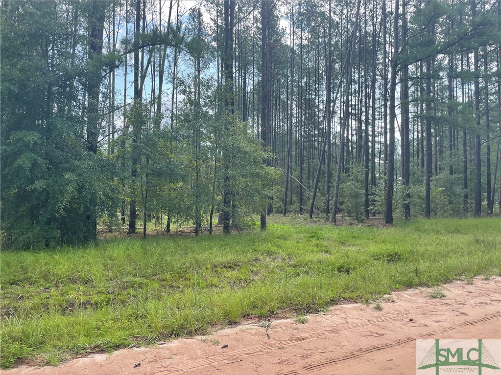 112 Dixie Drive Springfield, GA 31329 - Photo 3 of 4