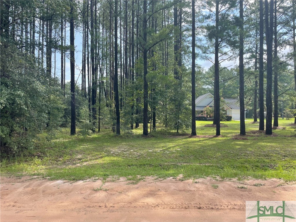 112 Dixie Drive Springfield, GA 31329 - Photo 4 of 4