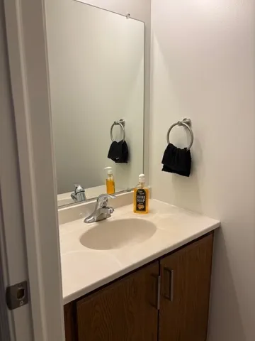 a bathroom with a sink and a mirror