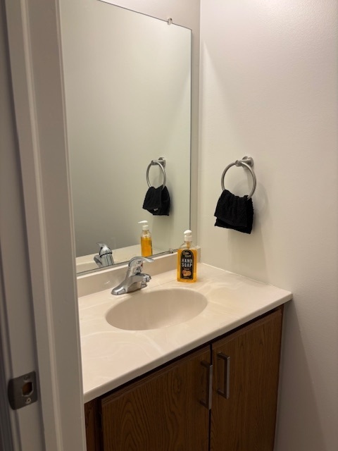 117 Colonial Parkway, Unit A Yorkville, IL 60560 - Photo 5 of 12 a bathroom with a sink and a mirror