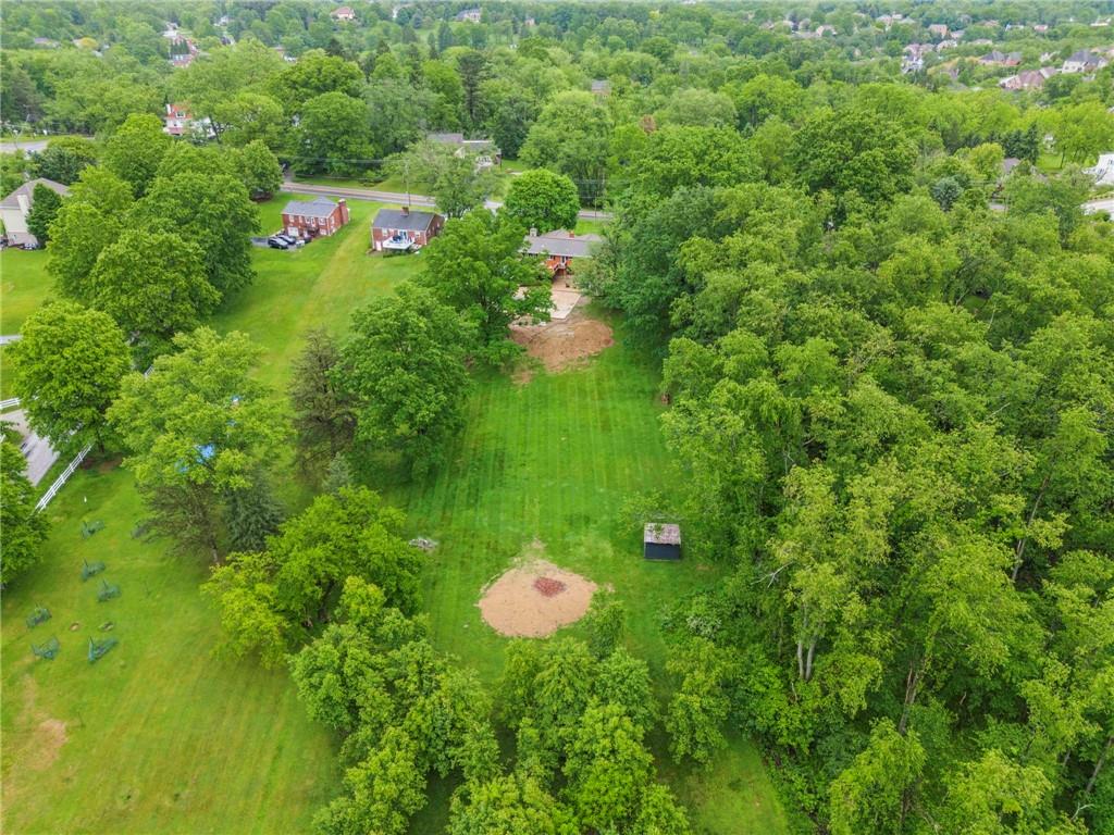 857 East McMurray Road Venetia, PA 15367 - Photo 36 of 37 a view of a flower in a garden