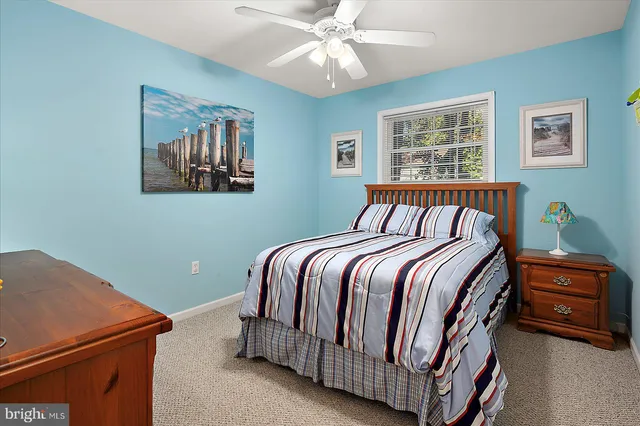 a front view of a house with a yard and large tree
